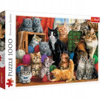 Puzzle 1000 Kocie spotkanie Trefl 10555