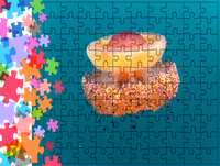 Puzzle tradycyjne Zwierzęta - Meduza