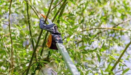 FISKARS UPX86 Sekator Ogrodowy Nożycowy Żyrafa Teleskopowy 1023624 na Arena.pl