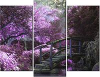 product-compare-58672800