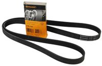 Pasek wielorowkowy 6PK1760