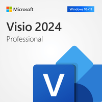 Microsoft Visio Professional 2024 / AKTYWACJA ONLINE