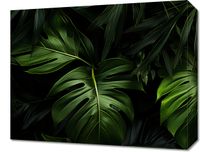 Obraz 50x40cm Zielony Szept