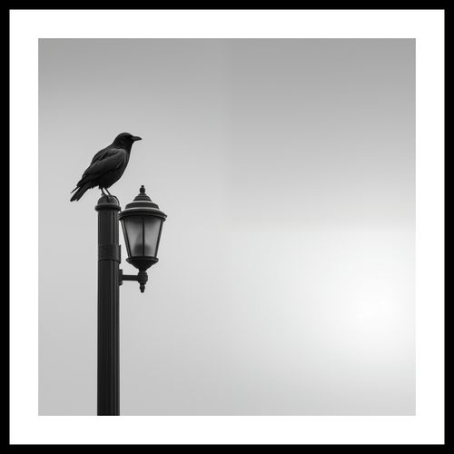 Plakat 60x60cm Samotny Postój Kruka na Arena.pl