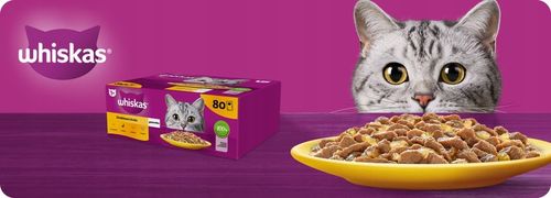 MOKRA KARMA DLA KOTA WHISKAS DROBIOWE SMAKI W GALARETCE 80x85G na Arena.pl