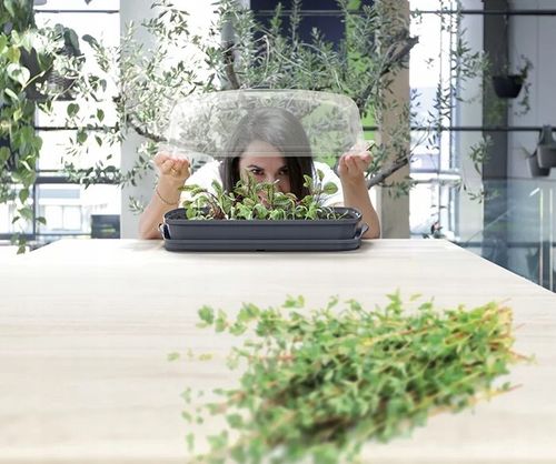 Szklarnia rozsadnik RESPANA table greenhouse 39,1 cm x 25,7 cm x 18,5 cm na Arena.pl