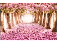 100 70CM OBRAZ PŁÓTNO ROMANTYCZNA ALEJKA PŁÓTNO RAMA