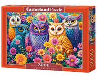 Puzzle 3000-elementów Flower Owl Meeting C-300723-2