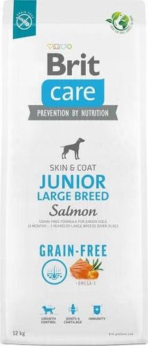 BRIT CARE GRAIN FREE JUNIOR LARGE SALMON 12kg na Arena.pl