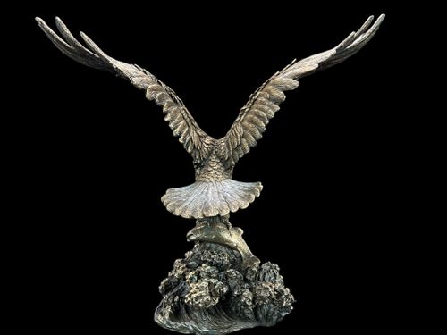 BIELIK AMERYKAŃSKI ŁAPIĄCY RYBĘ VERONESE WU75227A4 na Arena.pl