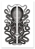 Plakat czarnobiały ośmiornica vintage 50x70 cm