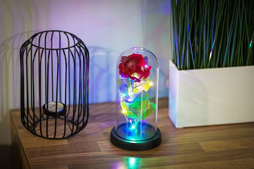 WIECZNA RÓŻA NEW MODEL: NR:8656 na Arena.pl