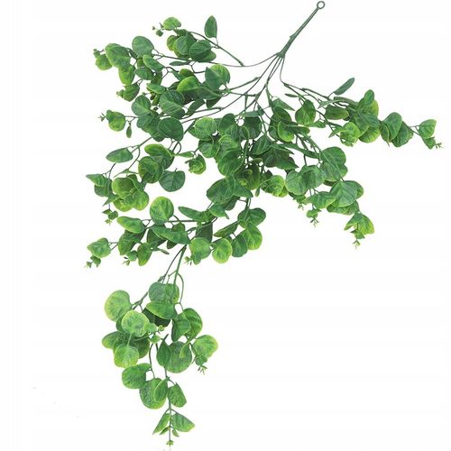 EUKALIPTUS ZWISAJĄCE GĘSTE PNĄCZE GAŁĄZKI KASKADA GIRLANDA BLUSZCZ 5gał na Arena.pl