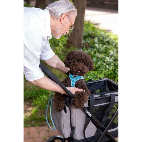 Wózek na Zakupy Carlett CUBE P RUBY Czerwony na Arena.pl