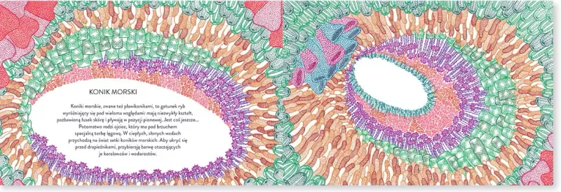 Narodziny zdjęcie 11