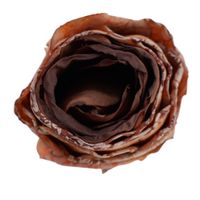 Róża wyr. podsuszana brązowa 12 szt