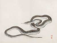 Plakat 100x75cm Snake, Kōno Bairei