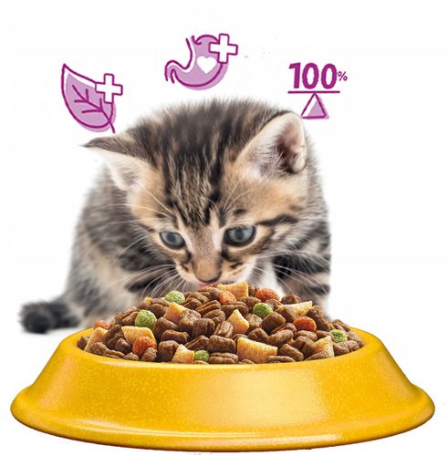 WHISKAS Sucha Kurczak 14kg na Arena.pl