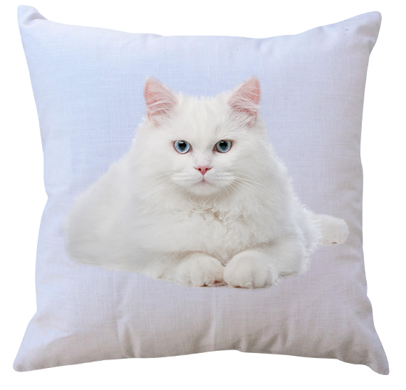 Poduszka Koty zdjęcie 1