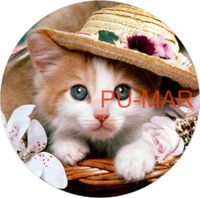 Opłatek na tort KOT Kotek Kotki Kiciuś Kocur Miluśiński Tekst Gratis