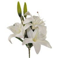 product-compare-61190894