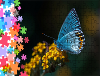 product-compare-57939880