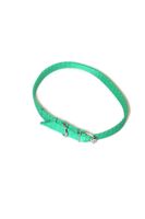 A-009 OBROŻA DLA PSA TAŚMA 16MM/30-41CM Kolor - Zielony