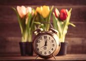 FOTOTAPETA TULIPANY ZEGAR CZAS DEKORACJA