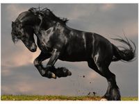 50X70CM OGIER FRYZYJSKI OBRAZ POKOJU DREWNINE