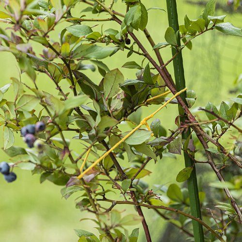 Sznurek bawełniany żółty 2mm/55 m/100 g na Arena.pl
