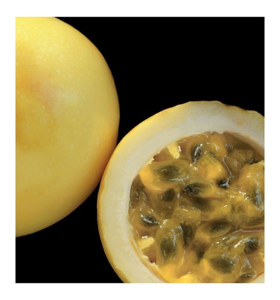 Yodeyma First Woda Perfumowana Dla Kobiet 100ml zdjęcie 3