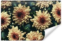 Fototapeta Do Salonu KWIATY Liście Natura Efekt 3D Retro 180cm x 120cm