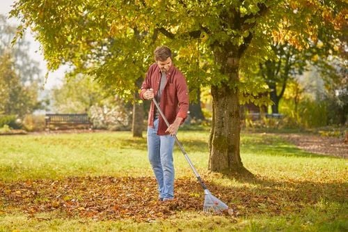 grabie wachlarzowe regulowane gs - hg-03103-20 na Arena.pl