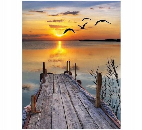 MALOWANIE PO NUMERACH OBRAZY DO MALOWANIA PREZENT OBRAZ KREATYWNY 40X50 na Arena.pl