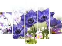OBRAZ KWIATY OGRODOWE FIOLETOWE