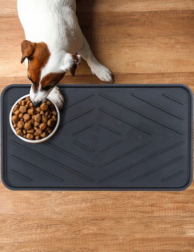 MATA NA BUTY OBUWIE OCIEKACZ WYCIERACZKA PODKŁADKA POD BUTY DO DOMU 35x63cm na Arena.pl