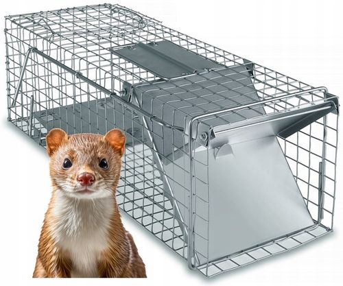 ŻYWOŁAPKA PUŁAPKA NA KUNY SZCZURY ŁASICE NORKI TCHÓRZE ŁASKI ŁAPKA na Arena.pl