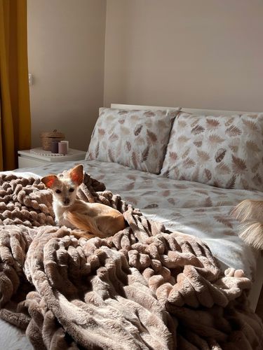 Komplet Pościeli Polarowej 160x200+2x 70/80 Ciepła Gruba Mack Home Liście na Arena.pl