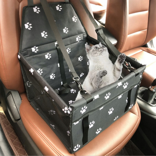 Fotelik samochodowy dla zwierząt na Arena.pl