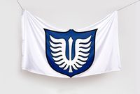 Flaga Berserk Band of the Hawk