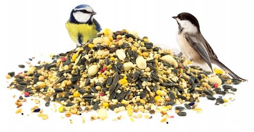 KARMA POKARM ZIARNO SŁONECZNIK DO KARMNIK DLA DZIKICH PTAKÓW ZIMUJĄCYCH na Arena.pl