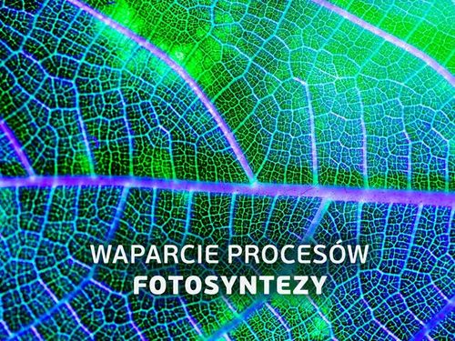 Przewód Kabel Zasilający ze Sterownikiem LED PC do Lampy Growly 3m na Arena.pl