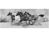 100X40CM STADO BURZY PIASKOWEJ OBRAZ DREWNO