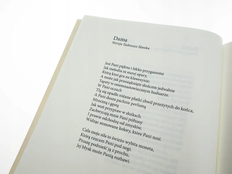 Gałązka rozmarynu zdjęcie 11