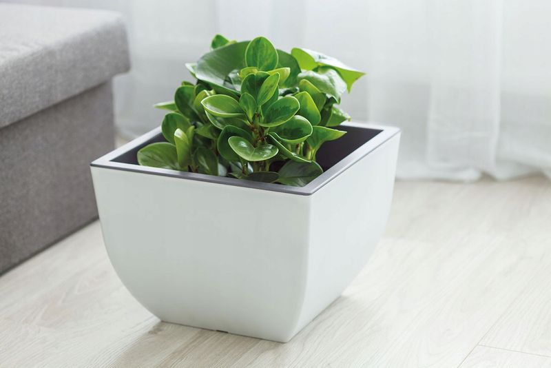 Doniczka okrągła Muna 40 | Antracyt zdjęcie 2