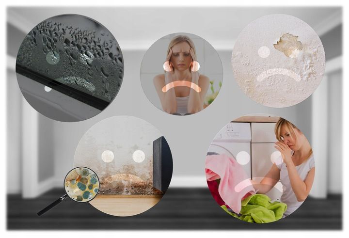 OSUSZACZ POWIETRZA POCHŁANIACZ WILGOCI DUŻY CICHY MOCNY 2200ML 90W zdjęcie 6