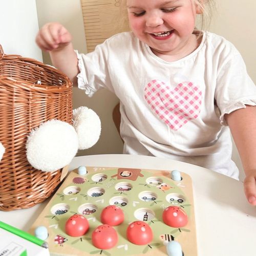 MEMORY GRA PAMIĘCIOWA JABŁUSZKA EDUKACYJNA ZNAJDŹ OBRAZEK GAME TOOKY TOY na Arena.pl