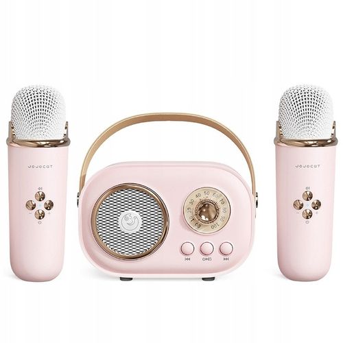 MIKROFON BEZPRZEWODOWY KARAOKE GŁOŚNIK BLUETOOTH C20 PLUS + 2 MIKROFON na Arena.pl