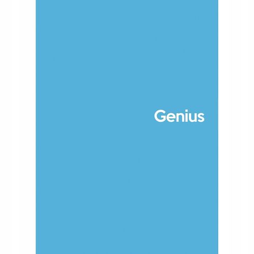 kołozeszyt a5/80k kratka genius mini 2 4610 na Arena.pl