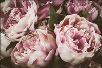 Tło PRODUKTOWE kulinarne Flat Lay na bloga insta